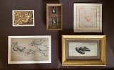 La vitrine des acquisitions