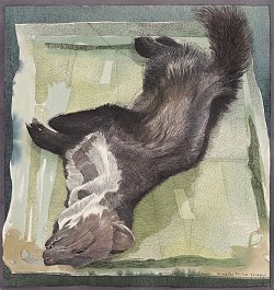 Siemen Dijkstra, {Fouine morte}, 2012