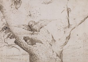 Jheronimus Bosch (vers 1450-1516)